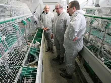 Világszínvonalú nyúlfarm épült Lajosmizsén