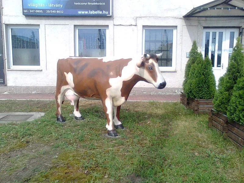 Műtehénre csaptak le a rendőrök