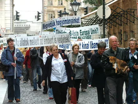 Debrecenben folytatódik a második Négy Mancs per