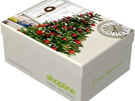 Országszerte már 3500 Shopline átvételi pont