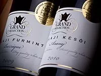 Tokaji a Budapesti Operettszínházban