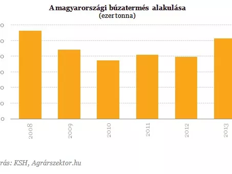 Brutálisan sok búza termett idén