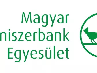 Közösségi főzés a Szimpla kertben