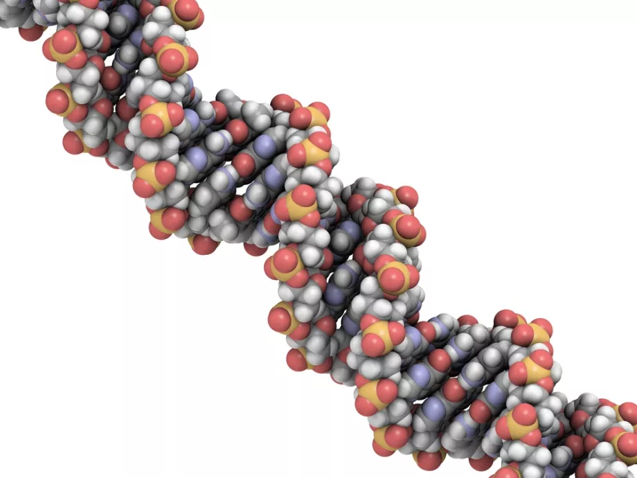 Jönnek a nanotechnológiával gyártott élelmiszerek
