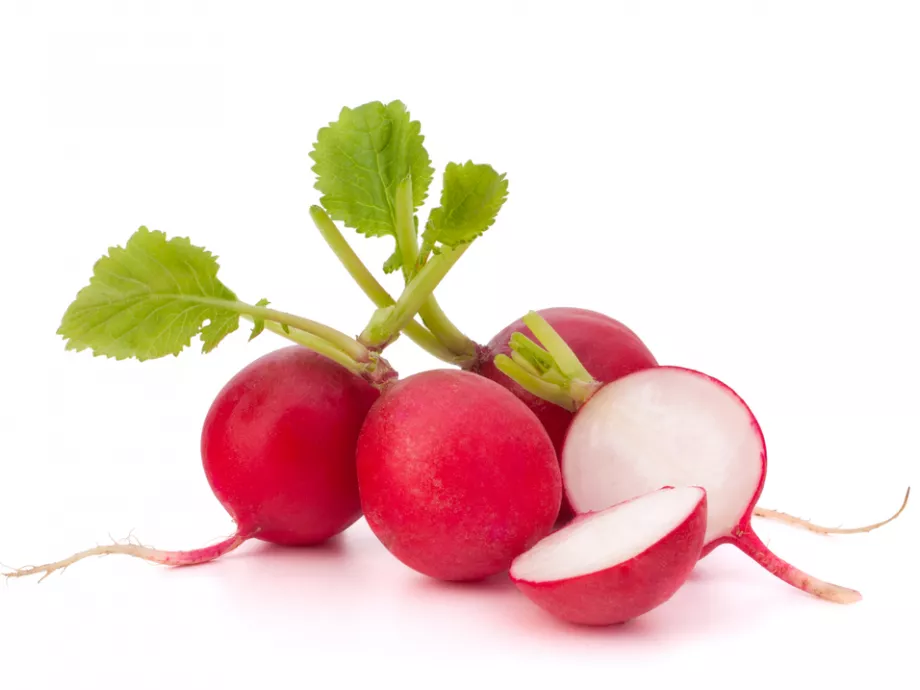 10 érdekes tény a retekről