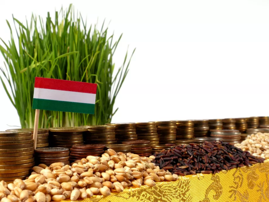 Új együttműködés segíti a hazai agrárvállalkozások külpiaci érvényesülését