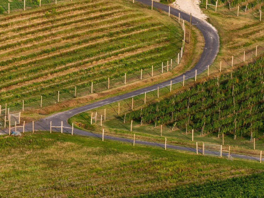 A katonai konfliktus és a gyenge forint szorítja az agráriumot