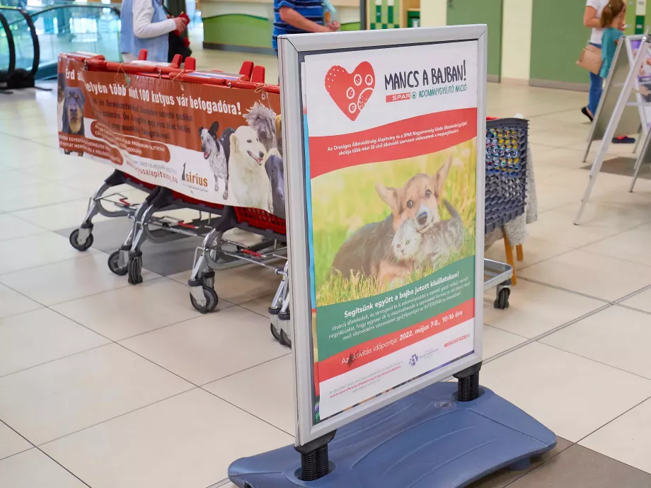 Száraz táppal segítették a Spar vásárlói az állatmenhelyek lakóit