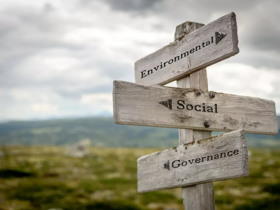 Mindenkinek fontos az ESG, mégse veszik komolyan