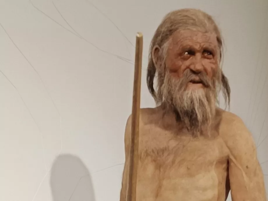 Ősi élesztőből főznének sört Ötzi, a jégember DNS-e alapján