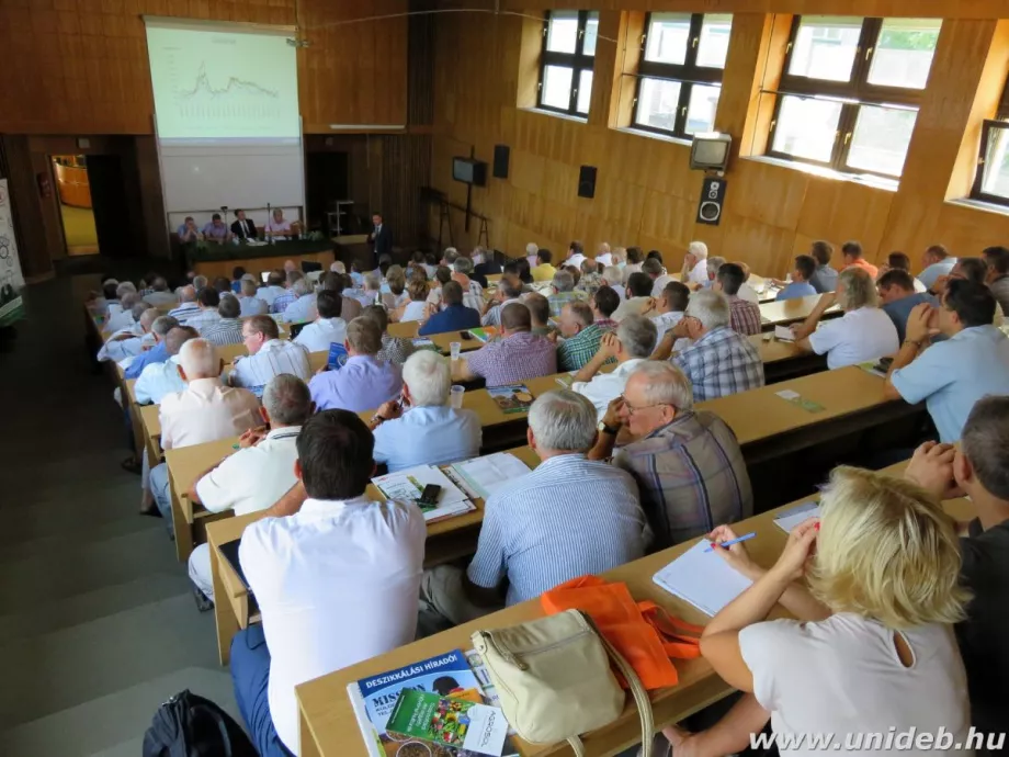 Hibridek és agrotechnika