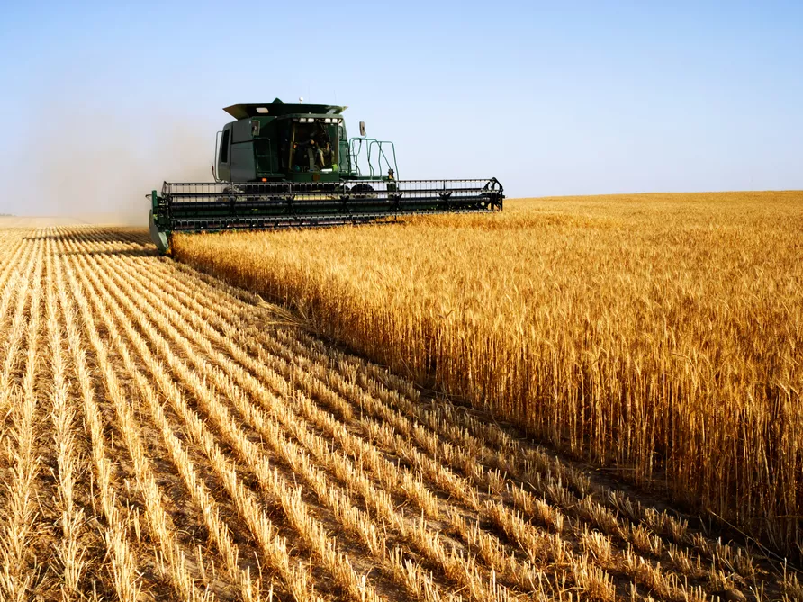 Nobel-díjas tudósok megalapozatlannak tartják a GMO-k elleni tiltakozásokat