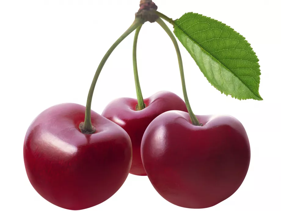Már a spájzban van a Germersdorfi óriás