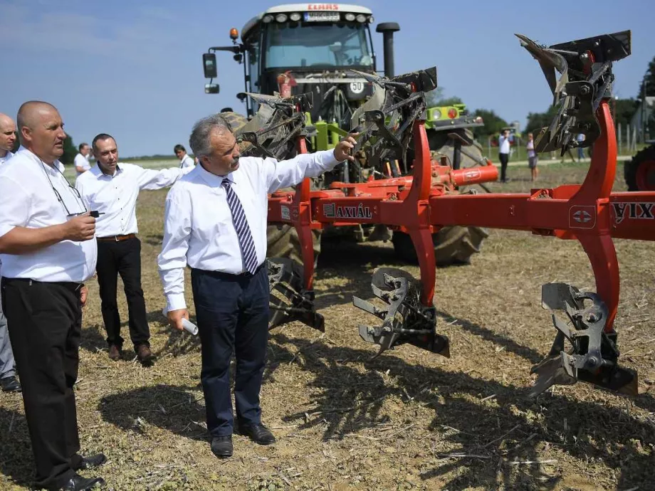 Idén csaknem egymillió hektáron vetettek őszi búzát