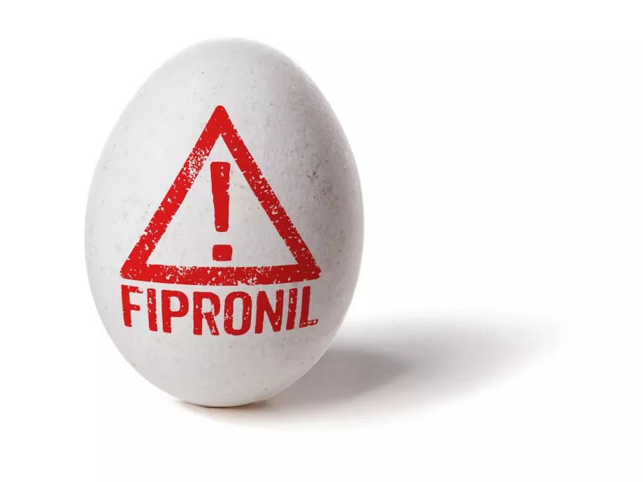 Lépten-nyomon fipronil a németeknél