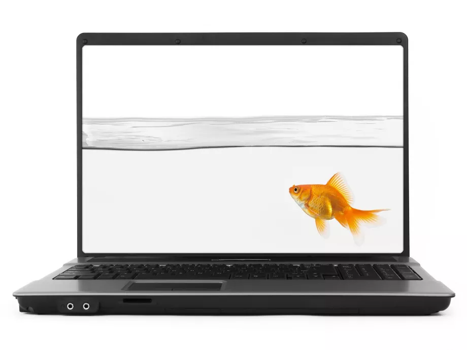 Digitalizálódó halgazdálkodási ellenőrzések