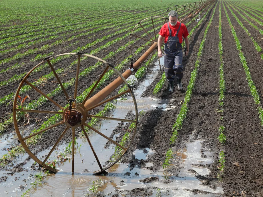 Az agrártámogatások megőrzése fontos a kormánynak