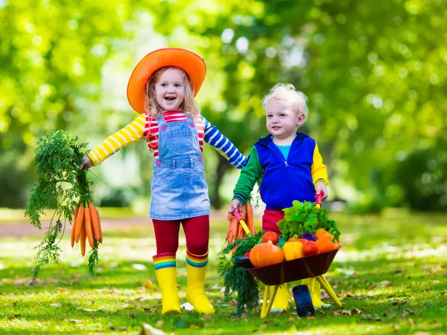 Frutti és Veggi az egészséges étkezésért