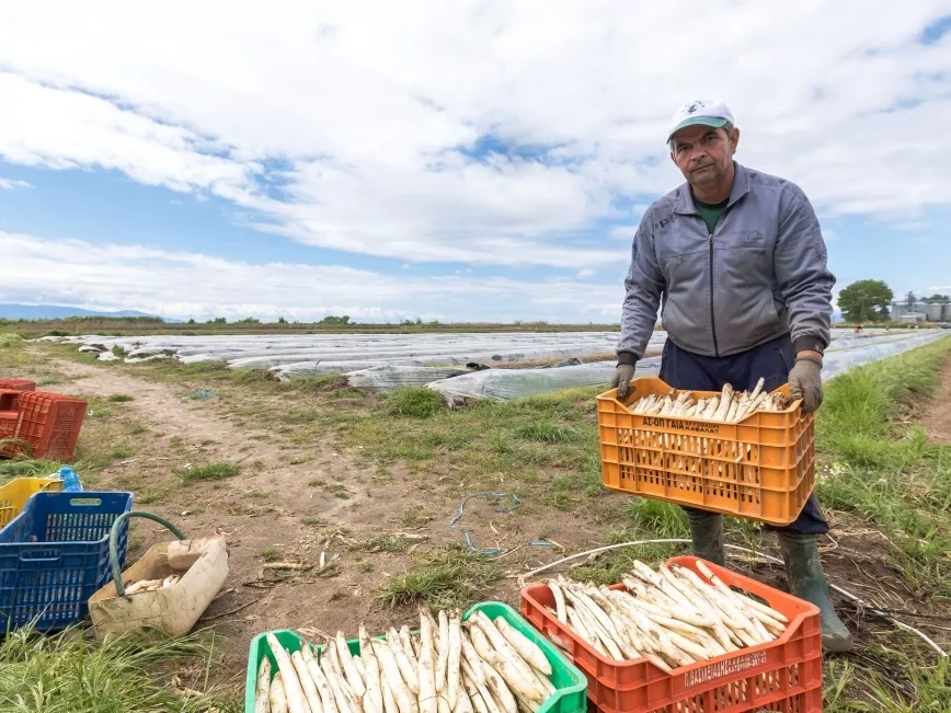 Bajban a brit agrárium