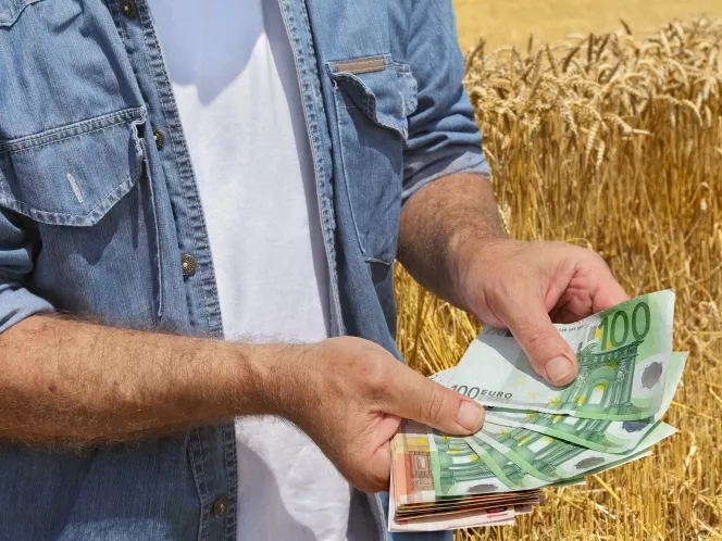 Megkezdődött a tagdíjbevallás a NAK-nál