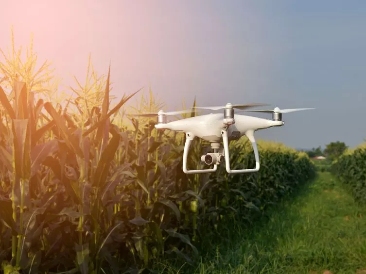 Agro-drónok: a mezőgazdaság forradalmárai