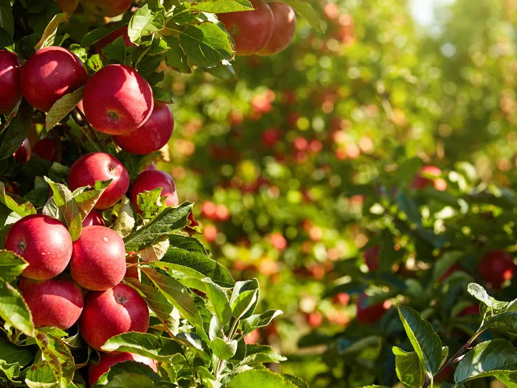 Kiáll a gazdák mellett az agrárminiszter