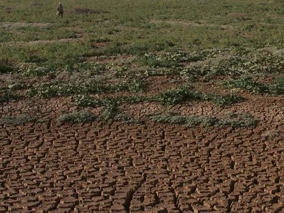 #ZeroHunger - erős kampányba kezdett a FAO