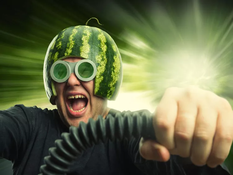 Napok múlva szedhető a dinnye
