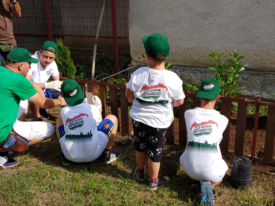 Megvannak a Cif pályázatának nyertesei