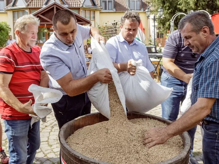 Magyarok Kenyere - Összeöntötték a búzát