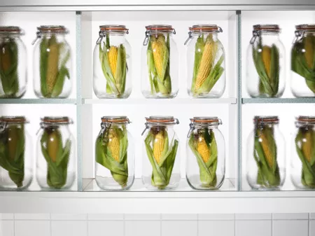 Mit eszünk majd negyven év múlva?
