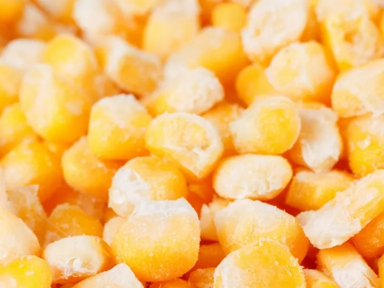 Hatékony a Listeria Megelőzési Rendszer