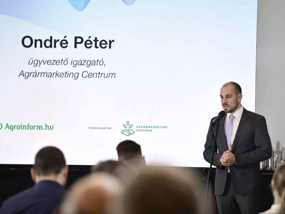Mi terem a neten? konferencia