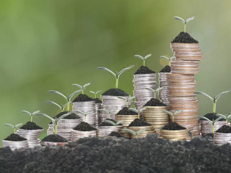 2019-ben 1,6 millió forintra drágult a termőföld