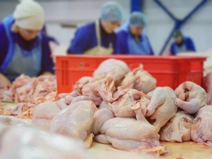 Túlkínálat alakult ki az uniós baromfipiacon