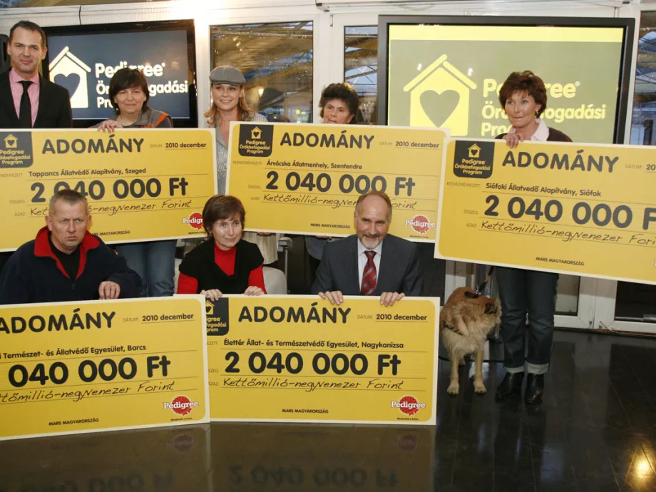 Több mint 4000 menhelyi kutyának talált gazdát a Pedigree