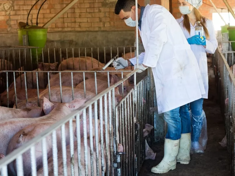 Járványvédelem: kimerülnek a források