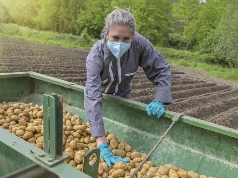 A Covid-19 és az agrár-élelmiszeripar