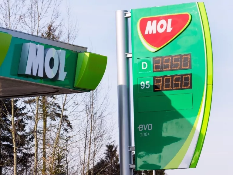 A járvány erősen megviselte a Molt is