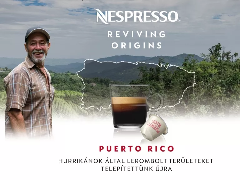 Újjászületőben a Puerto Ricó-i kávéfarmok