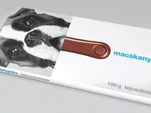 „Ölts Nyelvet a Világra” Macskanyelv