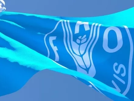 Fókuszban a fenntartható élelmezés a FAO konferenciáján
