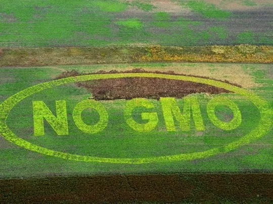 Kártérítéshez jutnak a gazdák a GMO-val szennyezett vetőmagok miatt