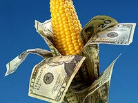 4 milliárd a GMO károsult gazdák kártalanítására