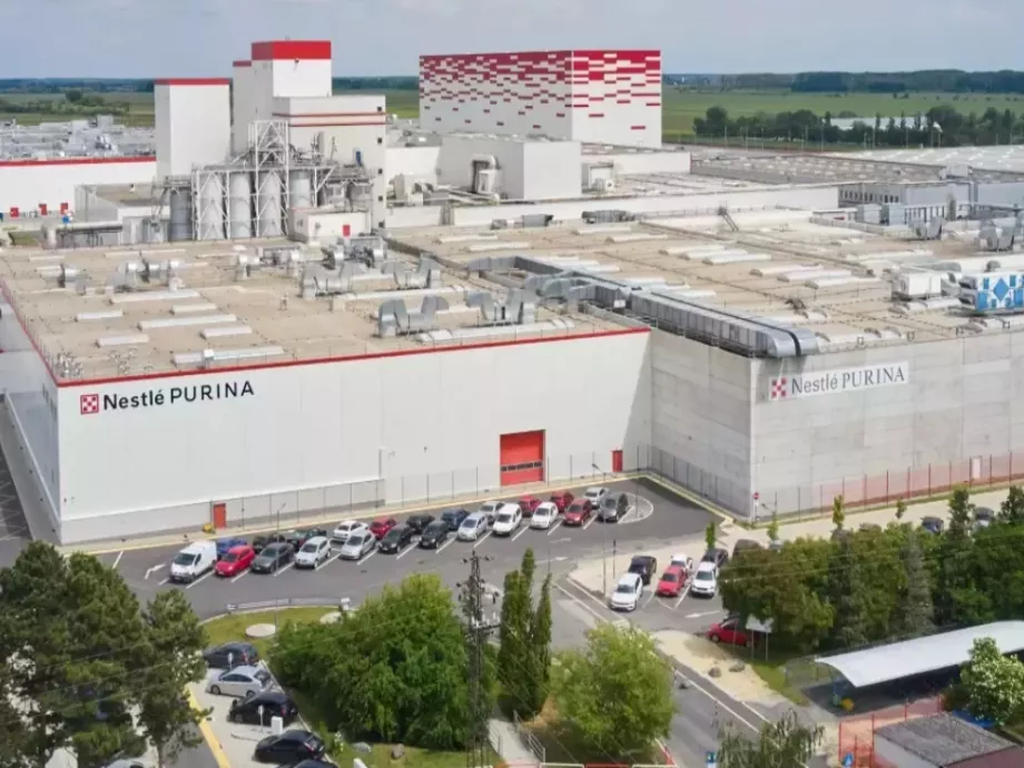 A Nestlé is támogatja a büki képzést
