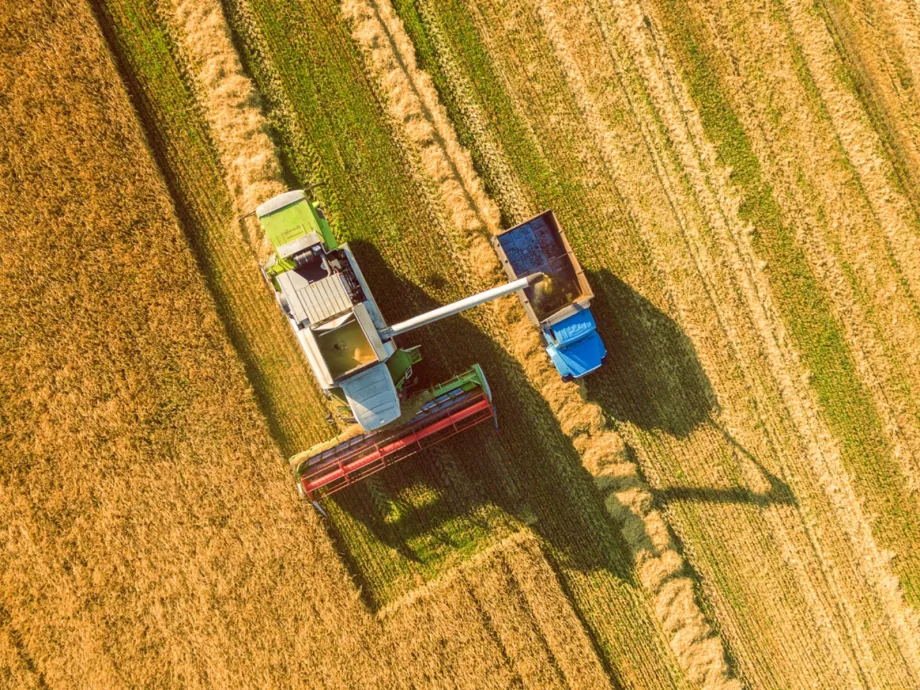 Felülvizsgáljájk az agrárkamara szabályozását