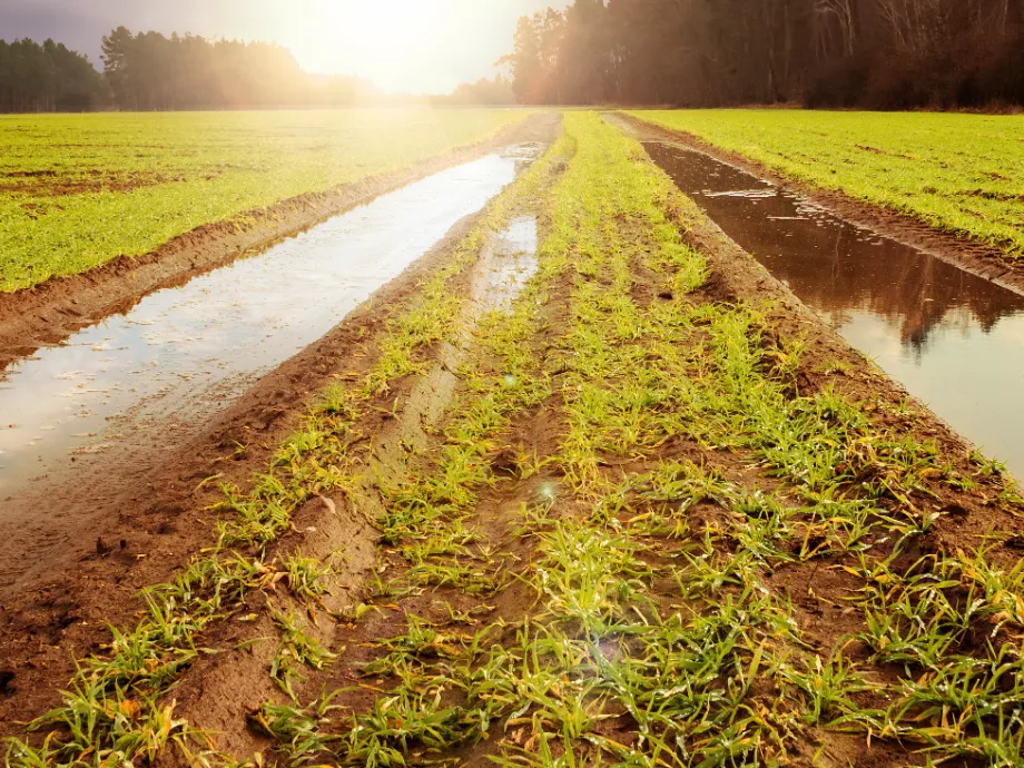 Krízisbiztosítással erősítené a gazdák jövedelembiztonságát az Agrárminisztérium