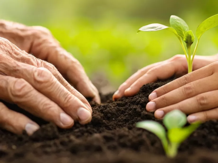 Kulcskérdés lett a generációváltás az agrárfinanszírozásban