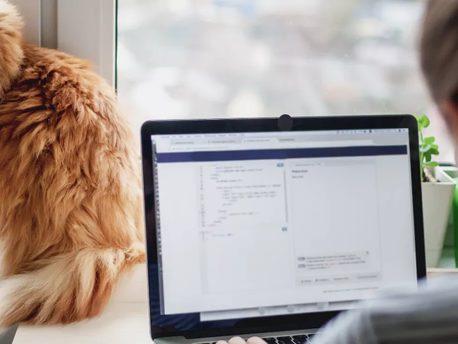 Home office vagy remote work?