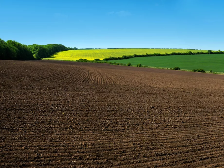 Politikamentes és takarékos agrárkamarát sürget a kormánybiztos